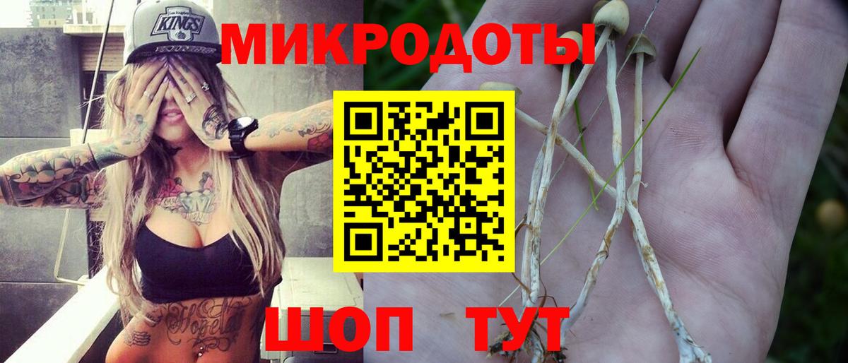 Галлюциногенные грибы MAGIC MUSHROOMS Ачхой-Мартан