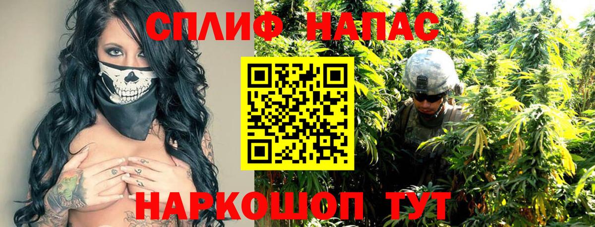 Шишки марихуана конопля Ачхой-Мартан